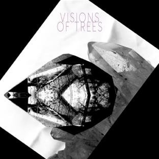 Visions Of Trees - Glass Rain